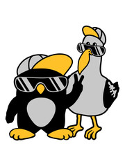 Möwe Pinguin 2 Freunde 