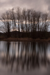 Perfectly symmetric trees reflections on a lake
