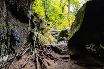 cave in Little Switzerland, Luxembourg, in autumn