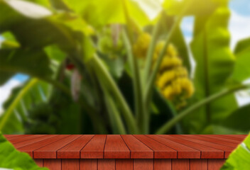 Green banana plantation on blurred background with empty wooden table. use for display of product © avs