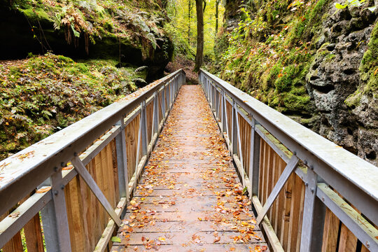footbridge in a valley in Little Switzerland, Luxembourg