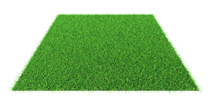 Grass shape - design element isolated - 3d rendering