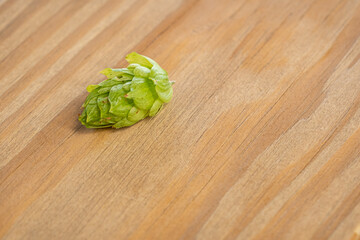 Single green cone-shaped hop lies on a wooden board.
