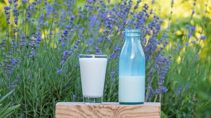 Milk in the glass. Organic food and drink. Organic milk pour from bottle outdoors. Concept of...