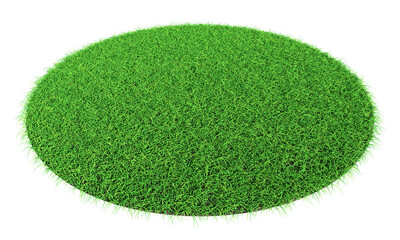 Grass shape - design element isolated - 3d rendering