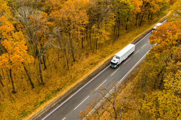 white truck with drives on an asphalt road through the autumn forest. cargo transportation. Drone photo  aerial view. Cargo delivery.