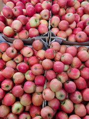 ripe red and yellow apples in cardboard boxes in the store