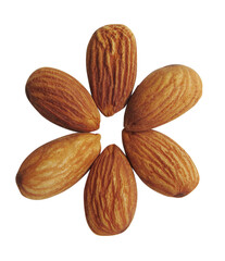 Peeled almonds closeup