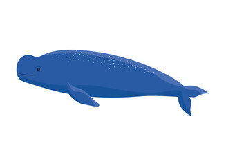 Obraz premium beluga whale design