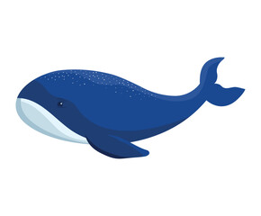 colored blue whale © Grgroup