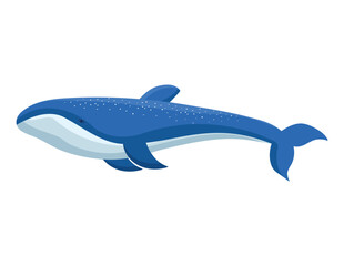 blue whale design