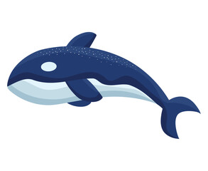 killer whale illustration