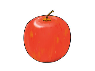 赤いりんご 果物