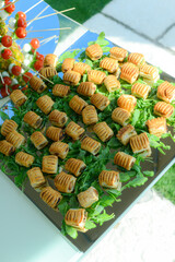 outdoors party finger food table, open-air buffet table, wedding aperitif catering.