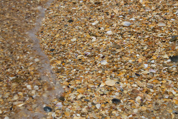 A small wave on the seashell beach.