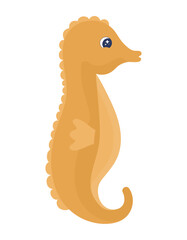 cute seahorse design