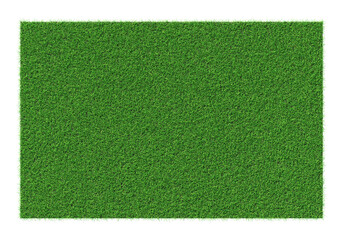 Grass shape - design element isolated - 3d rendering