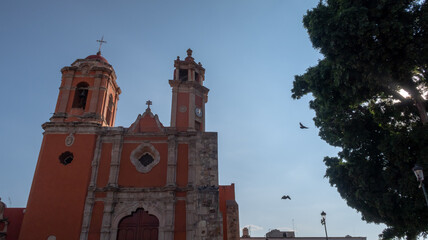 imagen abierta de fachada y torres de iglesia san juan de dios en León Guanajuato México con árbol al costado  y aves volando 