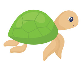 marine turtle design