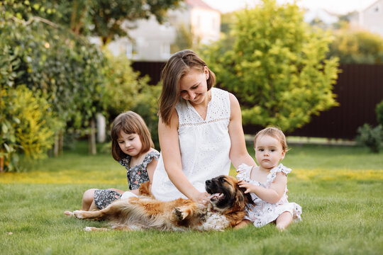 Family day, mother's day. Beautiful smiling young mom and two child daughters cuddling happy domestic dog on the backyard lawn. Idyllic family having fun with pet outdoors on summer holiday.