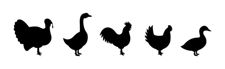 Set of farm birds silhouettes. Turkey, Chicken, Rooster, Duck, Goose black silhouettes. Farm animals character icons set isolated on white background.