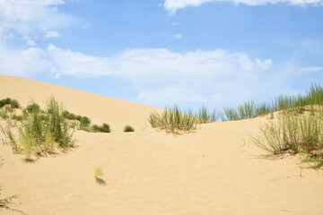Sand dunes of the Sarykum dune. A natural monument. Dagestan. Russia