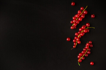 Fresh currant branches on dark background. Close up. Selective focus. useful product