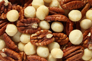 Big shelled pecan nuts and macadamia nuts situated arbitrarelly.