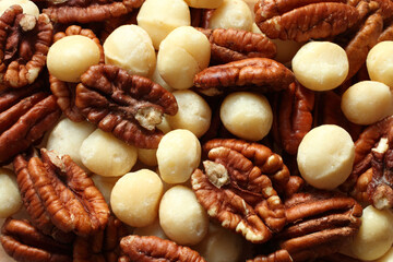 Big shelled pecan nuts and macadamia nuts situated arbitrarelly.