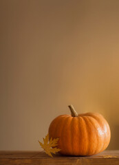 orange pumpkin and dry autumn leaf on background with copy space. minimal concept for thanksgiving. fall decor