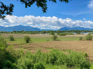 nature reserve Hirschauer Bucht with lake Chiemsee, Bavaria