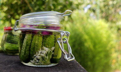 pickles in a jar with bitter pepper and inflorescence of wild garlic on a wooden surface selective...