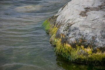 rocks in the water