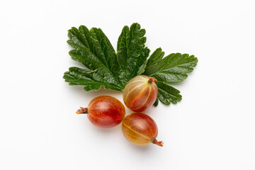 Ripe red gooseberry berry with gooseberry leaf isolated on white background.