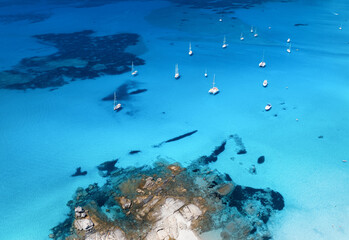 Fototapeta na wymiar Aerial view of the luxury yachts and sail boats in blue water at sunset in summer. Top view from drone of yachts, sandy beach in mediterranean sea. Travel in Sardinia island, Italy. Tropical landscape