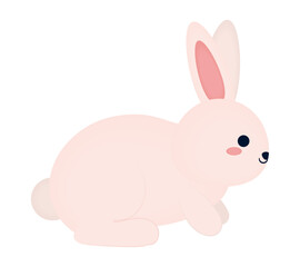 Obraz premium happy white rabbit