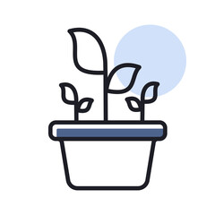 Plant in the pot isolated vector icon