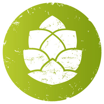 Gr&uuml;ner Button Hopfen zerkratzt