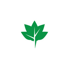 Obraz premium leaf icon