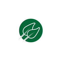 Obraz premium leaf icon