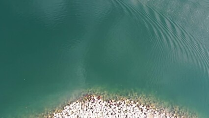 Red chilli pepper drying process. Bogra, Bangladesh.