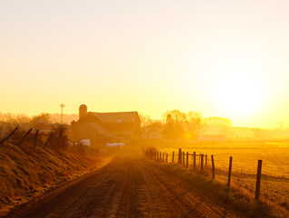 Country road leading to an Amish farm in the golden morning sunrise in Holmes County, Ohio