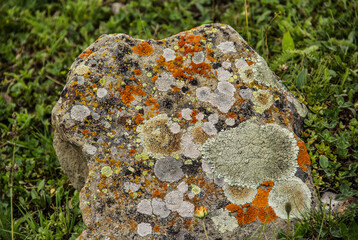 Old stone with colorful lichens. Beautiful natural texture