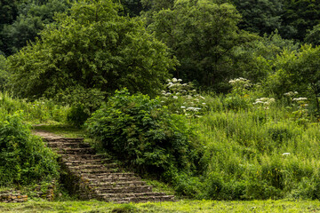 Ancient stone steps in an overgrown park