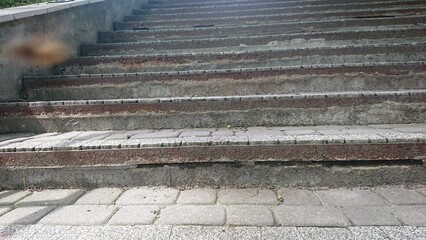 stairs in the park - schody  - obrazy, fototapety, plakaty