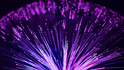 purple and blue fiber optic lights abstract - obrazy, fototapety, plakaty