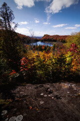 Obraz premium Panorama of a forest in Canada