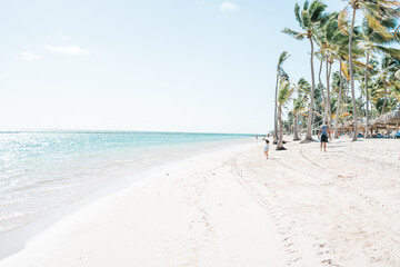 Fototapeta na wymiar beach with palm trees and sky