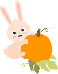 Rabbit with big pumpkin