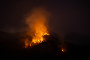 Forest wildfire at night a natural disaster